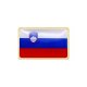 National flag of Slovenia badge